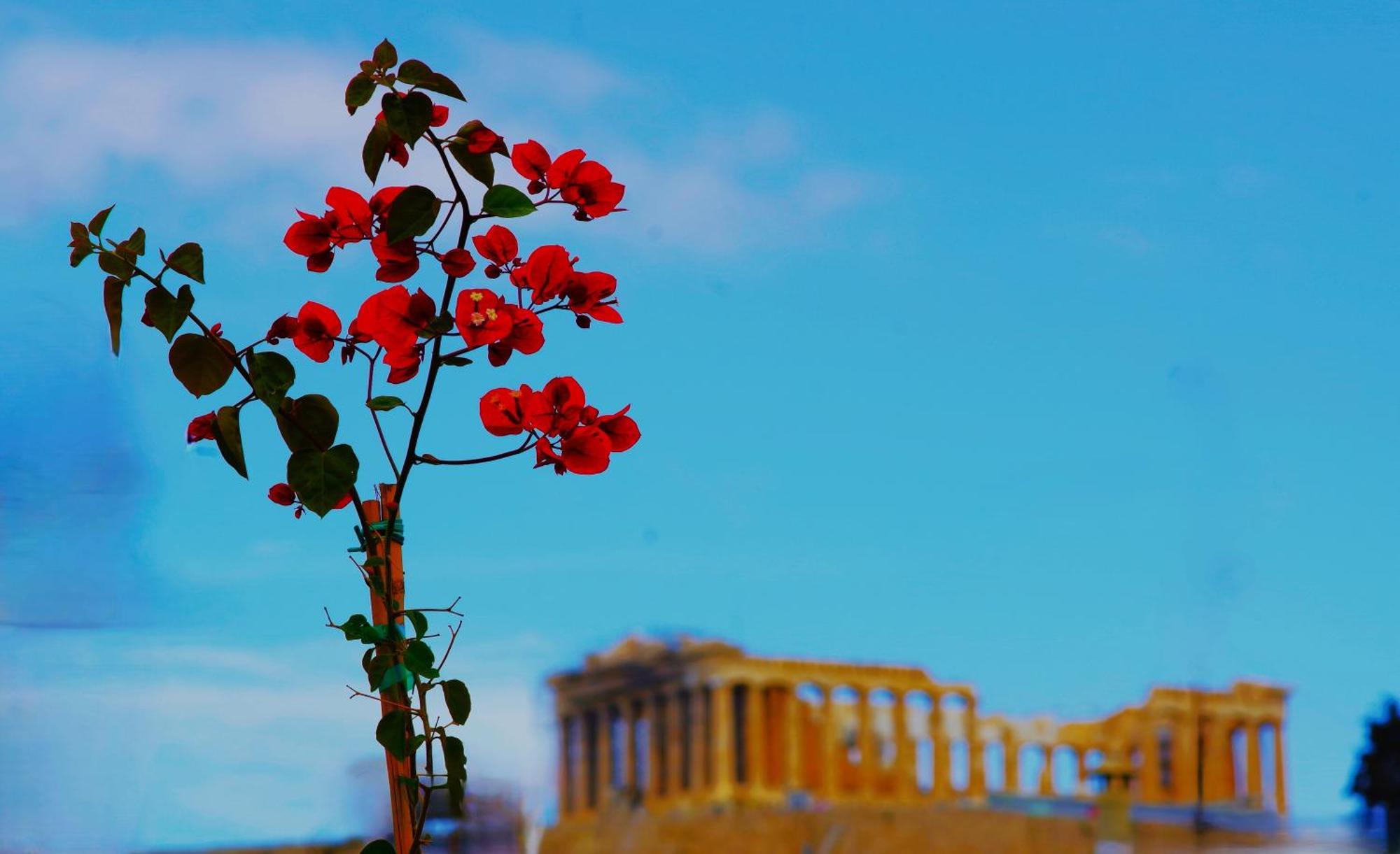 Absolute Athens Acropolis View Atenas Exterior foto
