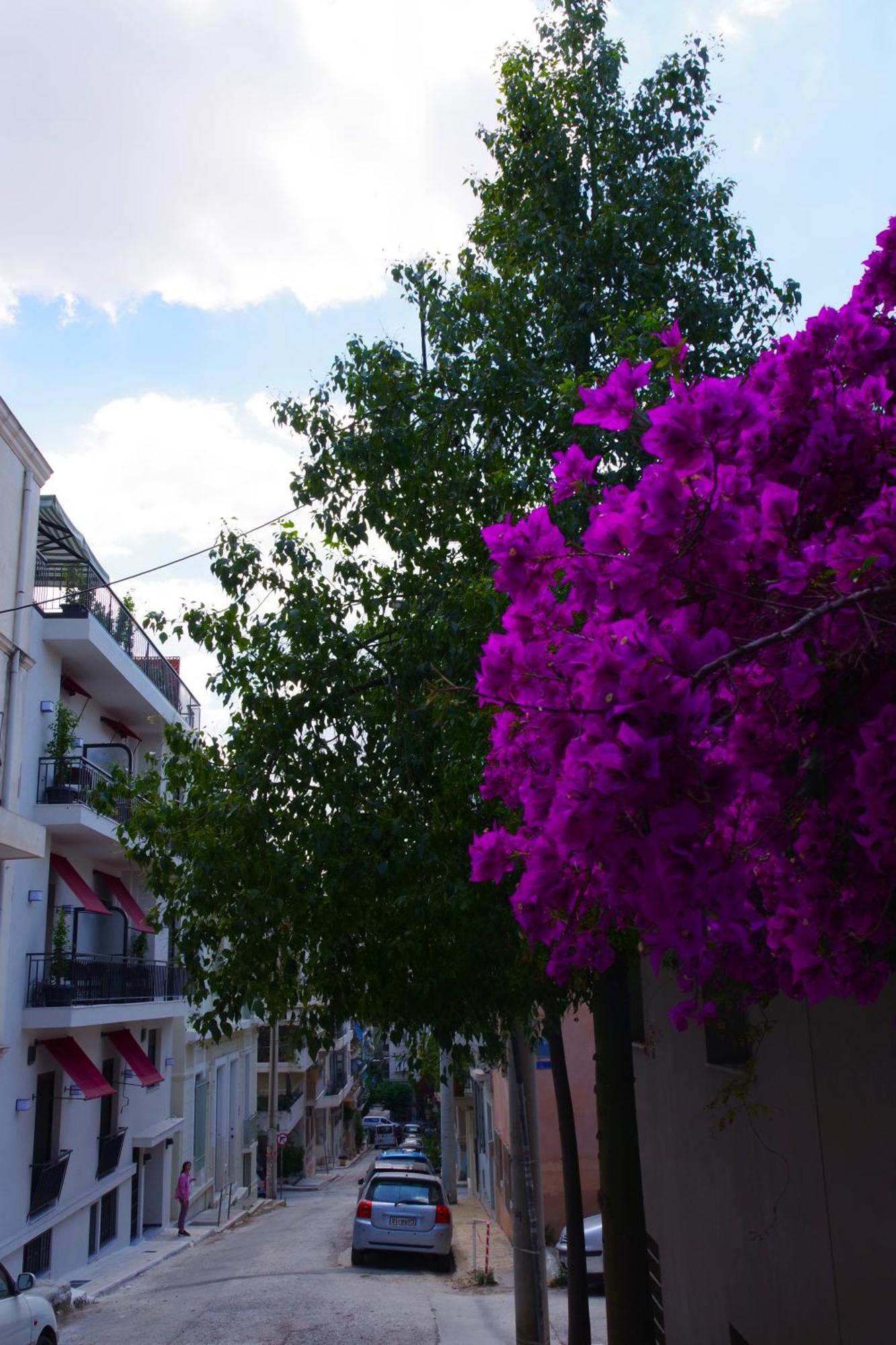 Absolute Athens Acropolis View Atenas Exterior foto